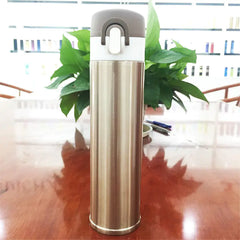 Stainless Steel Insulated Water Bottle and Cup