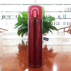 Stainless Steel Insulated Water Bottle and Cup