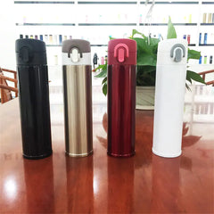 Stainless Steel Insulated Water Bottle and Cup